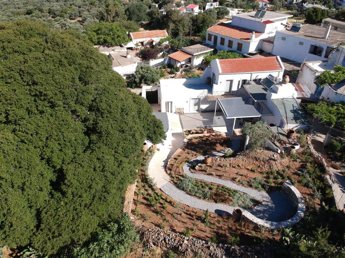 Fourfouras Cottage Εξωτερικό φωτογραφία